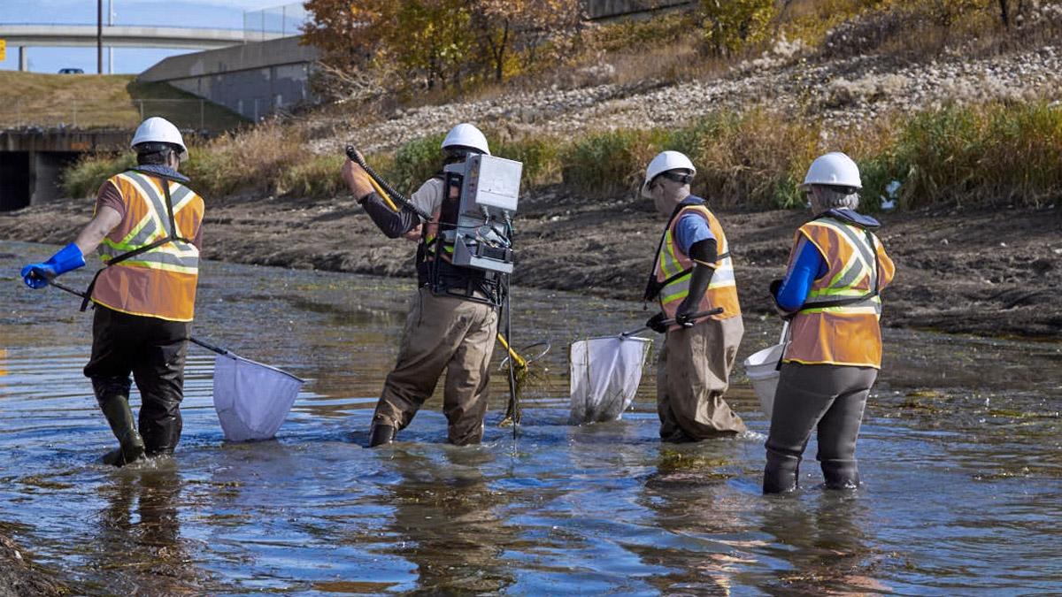 Apply-for-funding-TroutUnlimited.jpg